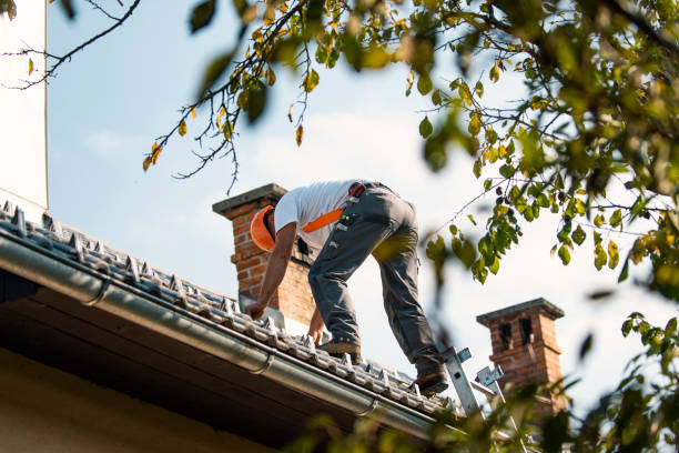 Asphalt Shingles Roofing in Amite City, LA